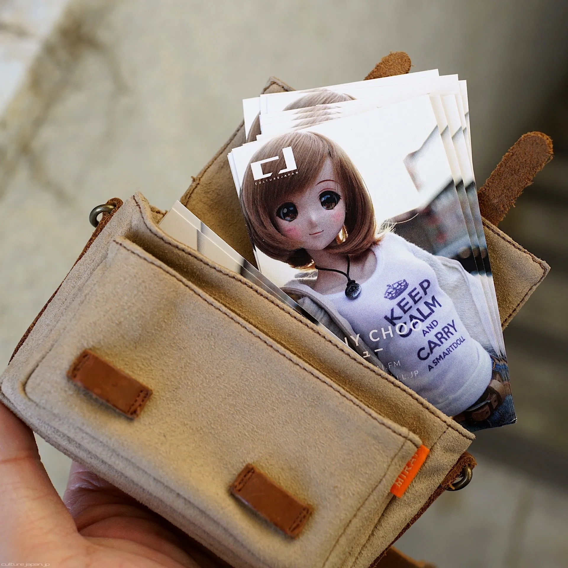 Satchel Bag